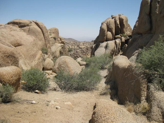 IMG 2310