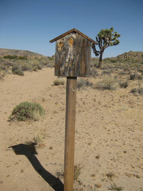 IMG 2332