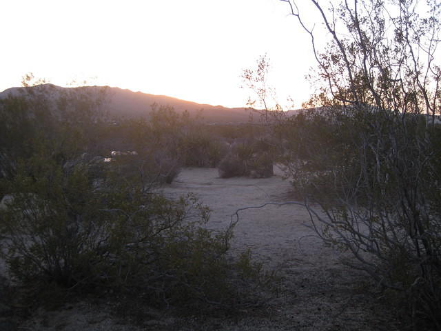 IMG 2334