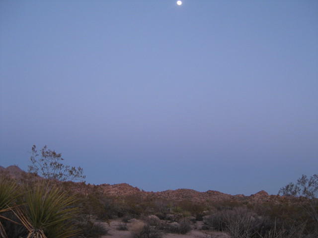 IMG 2345