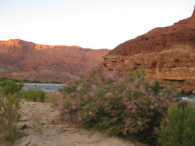 IMG 2473