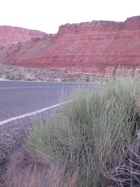IMG 2489