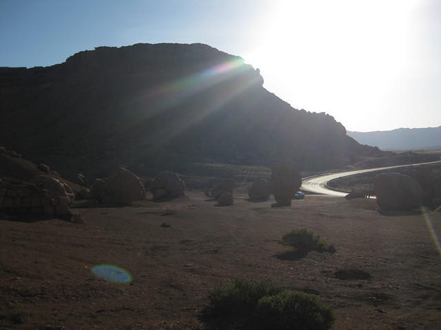 IMG 2508