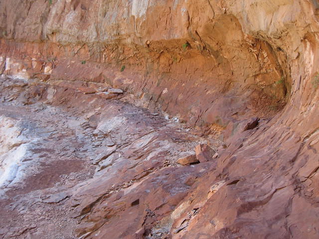 IMG 2544