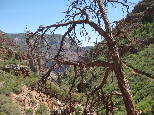 IMG 2548