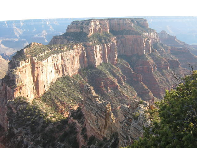 IMG 2558