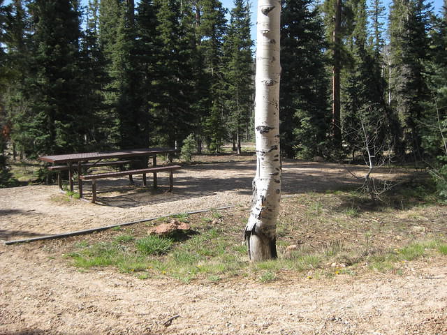 IMG 2559
