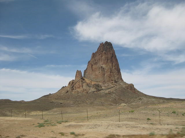 IMG 2571