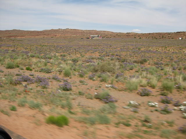 IMG 2573