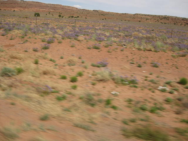 IMG 2574