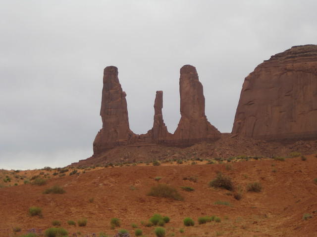 IMG 2578