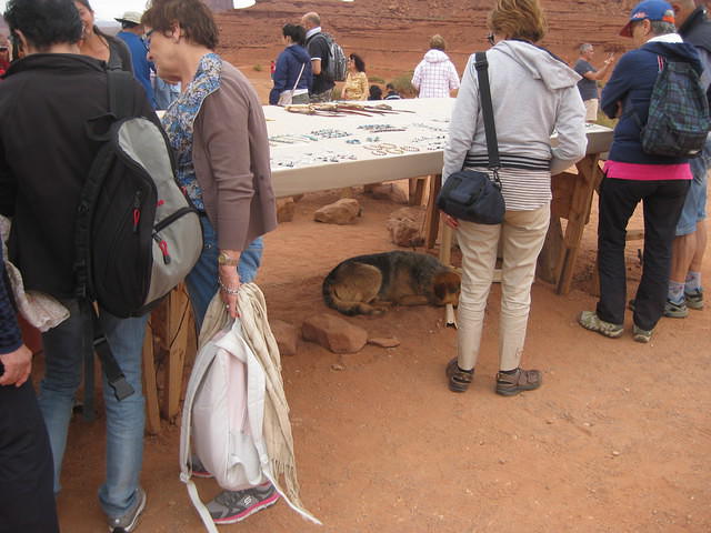 IMG 2584