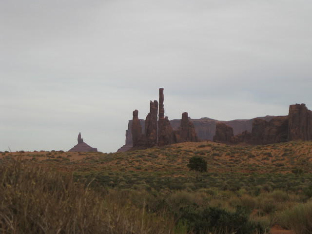 IMG 2585
