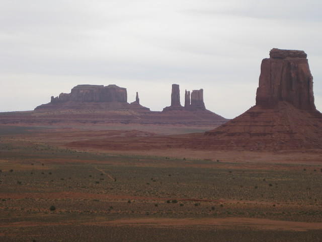 IMG 2599