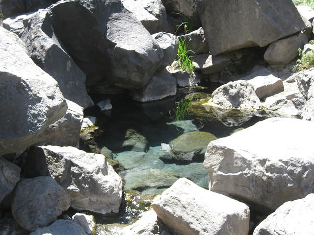 IMG 2672