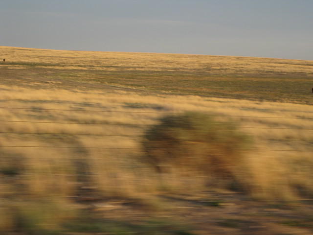 IMG 2680