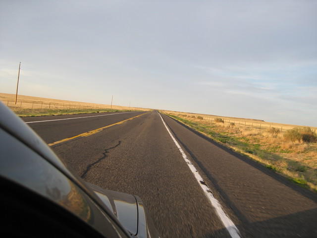 IMG 2681