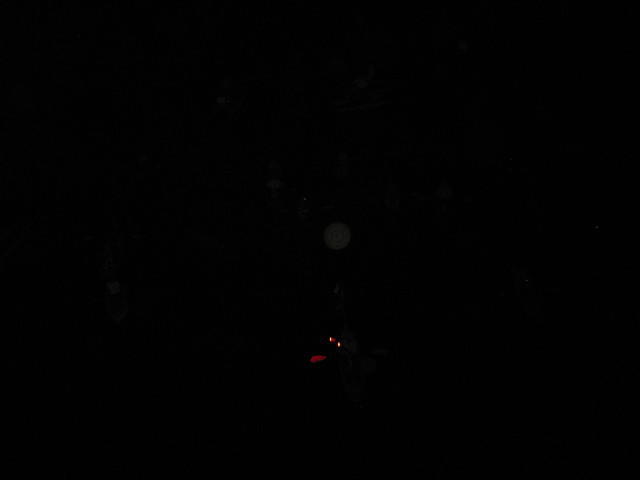 IMG 2705