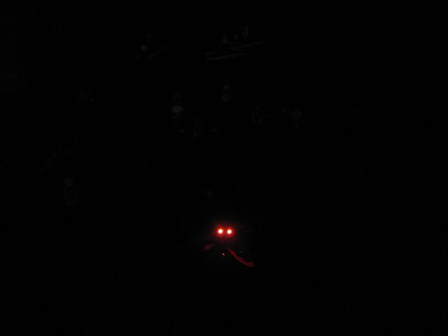 IMG 2706