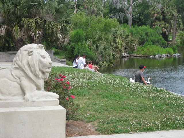 IMG 2790
