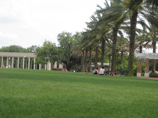 IMG 2834