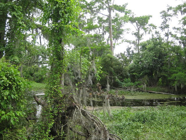 IMG 2873