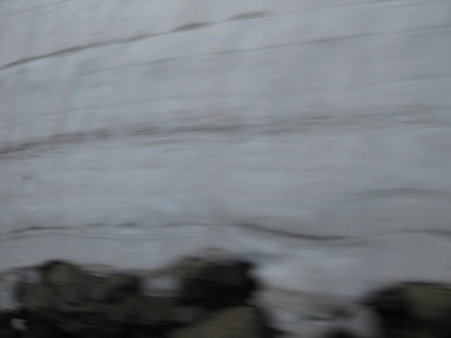 IMG 2955