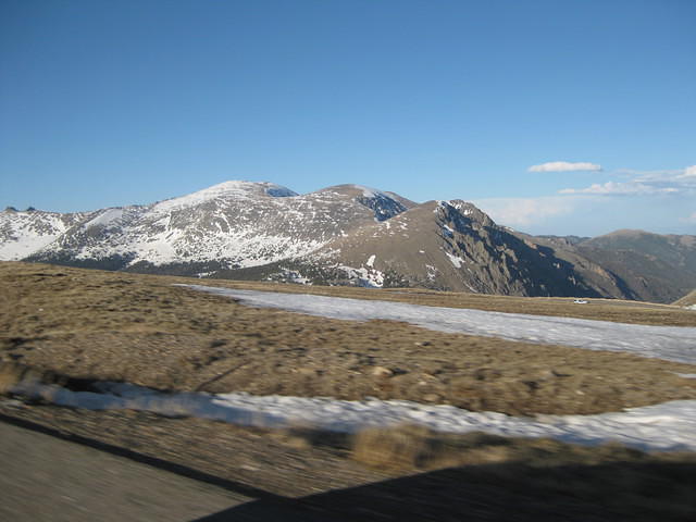 IMG 2959