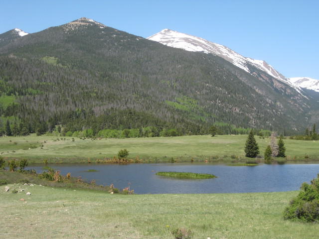 IMG 2975