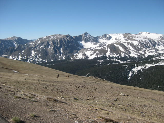 IMG 3017