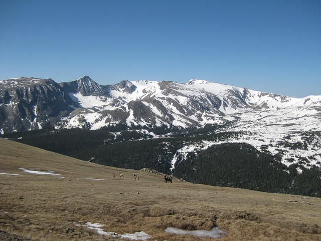 IMG 3018
