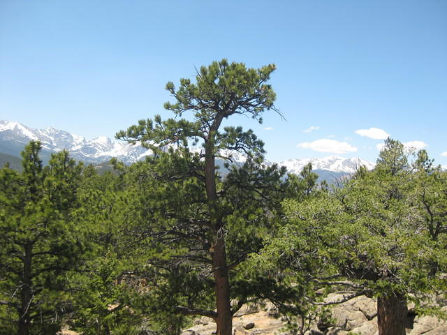 IMG 3040