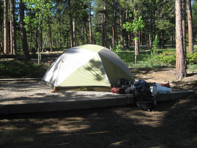 IMG 3045
