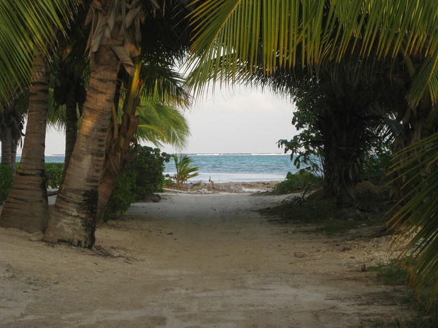 Julia's road