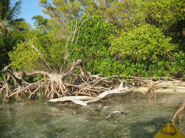Kayaking