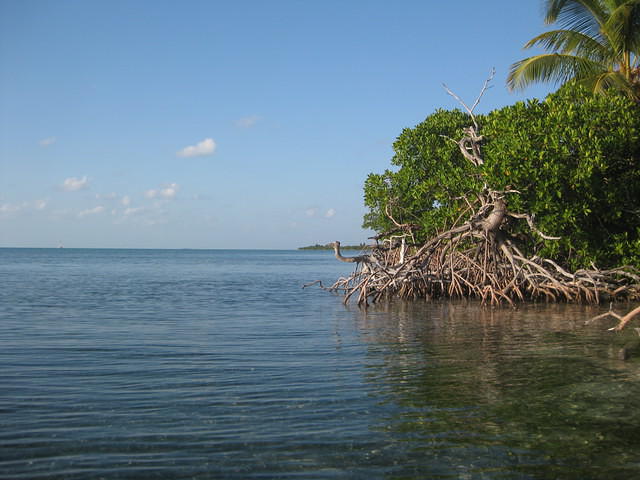Kayaking