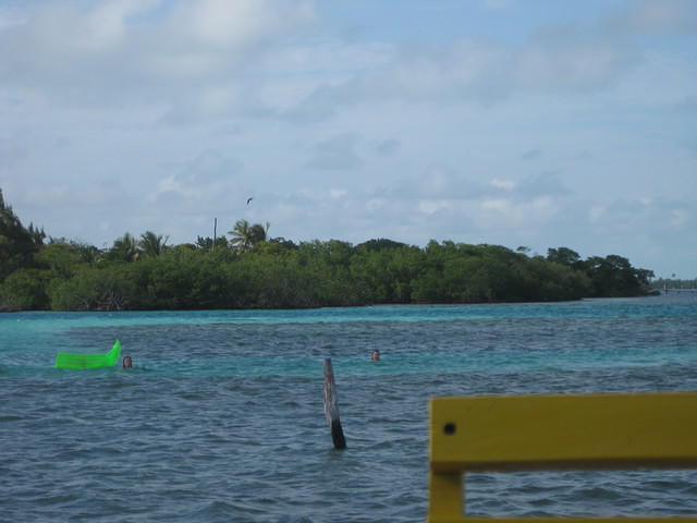 IMG 1643