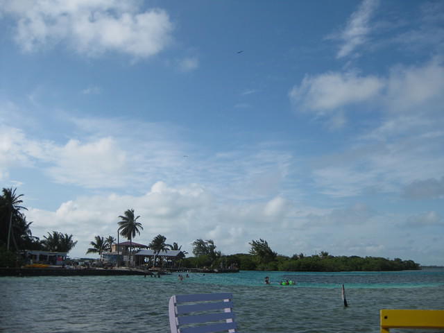 IMG 1644