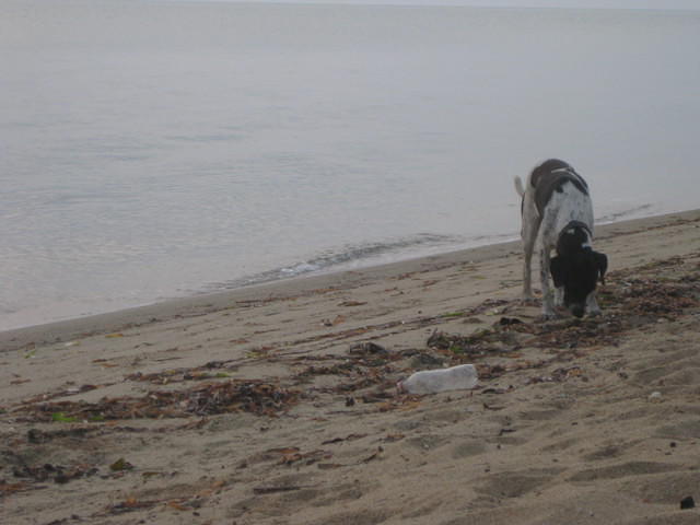 IMG 1713