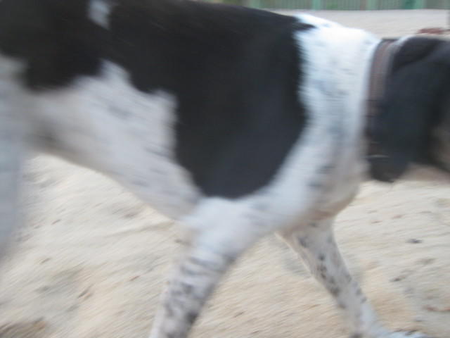 IMG 1715