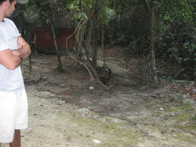 IMG 1743
