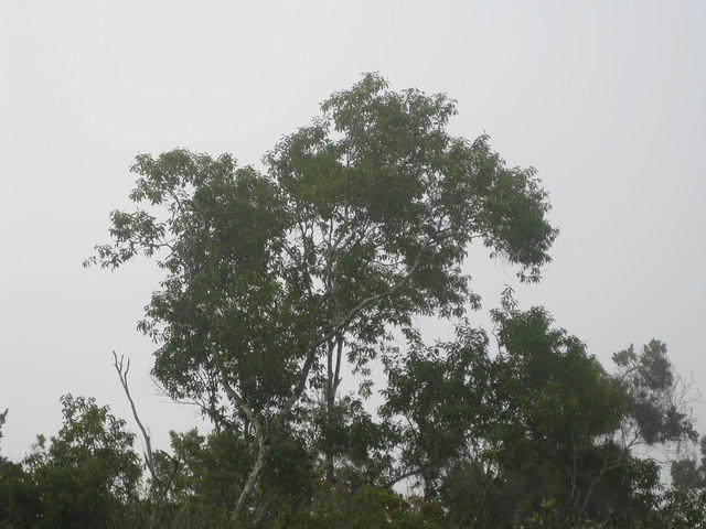 IMG 1744