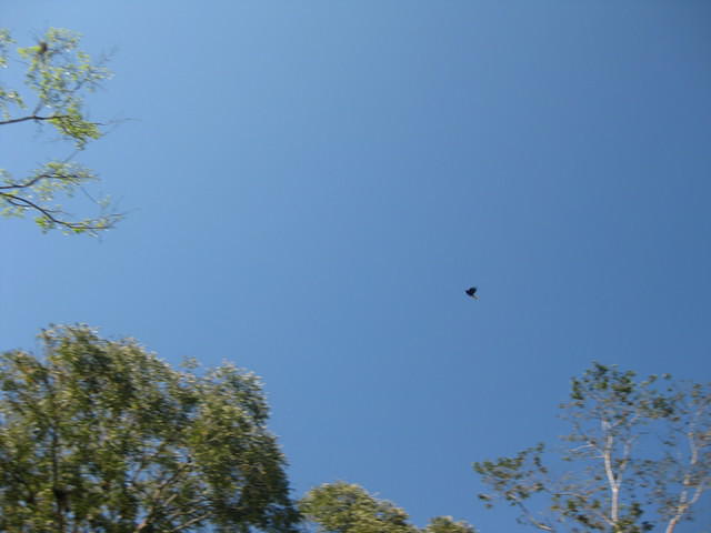IMG 1750