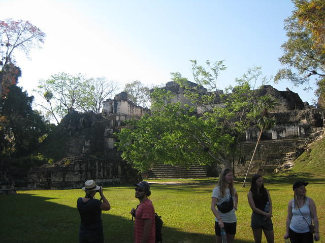 IMG 1753