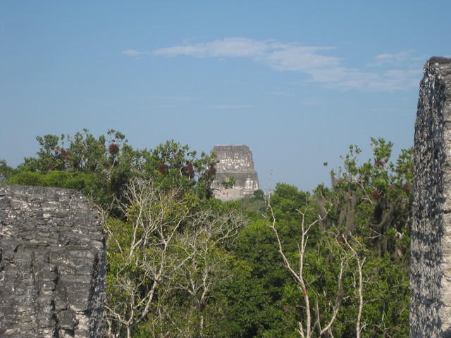 IMG 1762