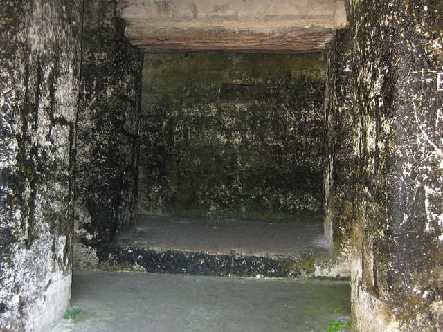 IMG 1774
