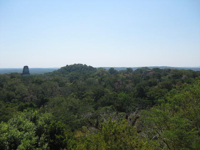 Tikal