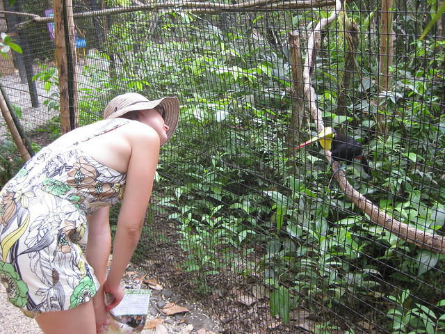 Belize Zoo