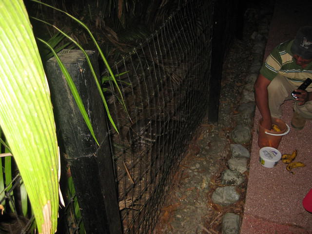 IMG 1884