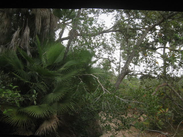 Savanna Guest House